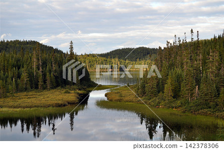 Forest Lake Landscape with Pine Trees and Calm Water Reflections 142378306