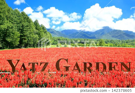 Yattsu Garden Flower Fields Yattsu Garden Flower Fields 142378605