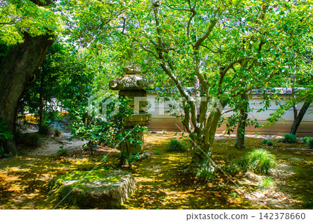 相國寺淨天閣:清爽的微風吹過前庭,周圍環繞著夏日的楓葉。 相國寺淨天閣:清爽的微風吹過前庭,周圍環繞著夏日的楓葉。 142378660