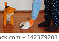 Cat food from the Showa era 142379201