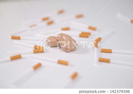 Model of human fetus lies among a pile of cigarettes in pregnant woman addiction closeup Model of human fetus lies among a pile of cigarettes in pregnant woman addiction closeup 142379396