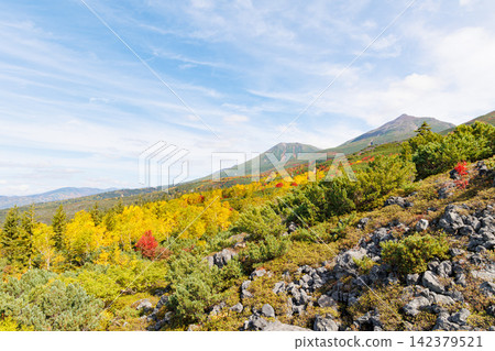 十勝山脈的美瑛山和美瑛富士山(北海道秋季) 十勝山脈的美瑛山和美瑛富士山(北海道秋季) 142379521