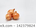 onion  142379824