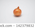 onion  142379832