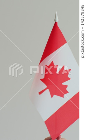 Vertical video. Woman hand waving Canada flag in front of white background. Happiness, nationality and Canada citizenship concept. 142379848
