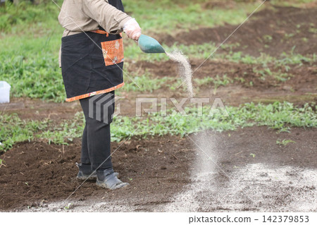 A woman spreading lime in a field. A woman spreading lime in a field. 142379853