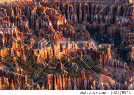 Bryce Canyon Sunrise View 142379941