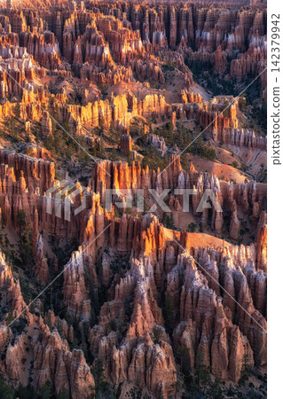 Bryce Canyon Sunrise View Bryce Canyon Sunrise View 142379942