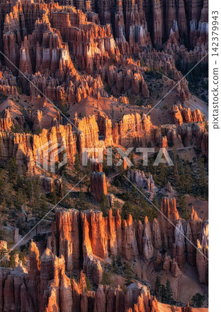 Bryce Canyon Sunrise View Bryce Canyon Sunrise View 142379943