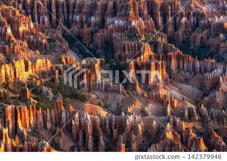 Bryce Canyon Sunrise View Bryce Canyon Sunrise View 142379946
