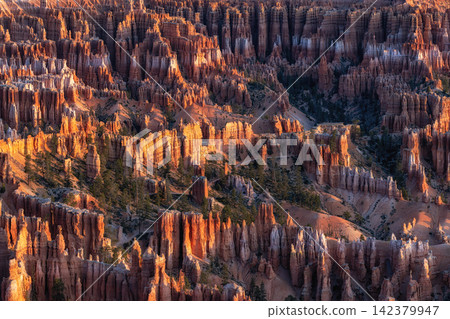 Bryce Canyon Sunrise View Bryce Canyon Sunrise View 142379947