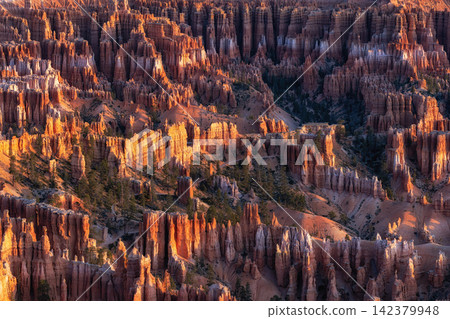Bryce Canyon Sunrise View Bryce Canyon Sunrise View 142379948