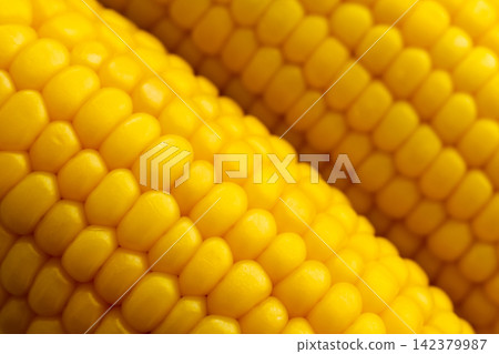 Fresh Yellow Corn Cobs Close-Up Fresh Yellow Corn Cobs Close-Up 142379987