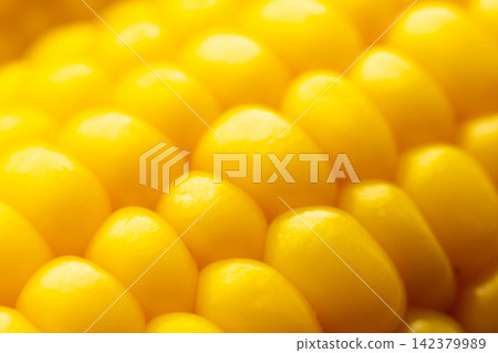 Macro shot of fresh yellow corn kernels on cob Macro shot of fresh yellow corn kernels on cob 142379989