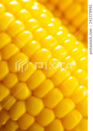Macro view of fresh yellow corn kernels on cob 142379991