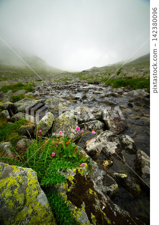 Mountain Stream Flowing Through Rocky Valley with Fog Mountain Stream Flowing Through Rocky Valley with Fog 142380096