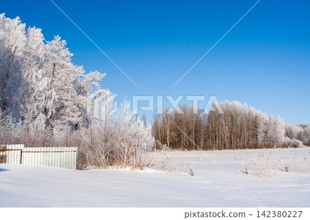 Frosty ice snow on branches of tree and grass Frosty ice snow on branches of tree and grass 142380227