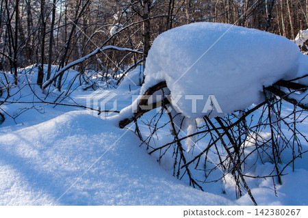 Frosty ice snow on branches of tree and grass Frosty ice snow on branches of tree and grass 142380267