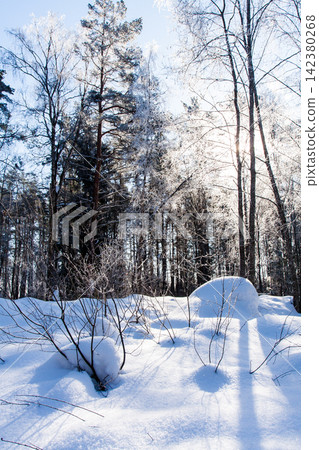 Frosty ice snow on branches of tree and grass Frosty ice snow on branches of tree and grass 142380268