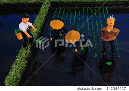 A boy helping with rice planting A boy helping with rice planting 142380617