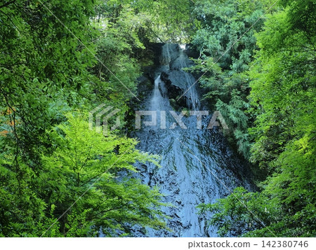 Kototaki Waterfall in the Forest of Kyoto 142380746