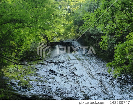 Kototaki Waterfall in the Forest of Kyoto 142380747