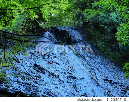 Kototaki Waterfall in the Forest of Kyoto Kototaki Waterfall in the Forest of Kyoto 142380748
