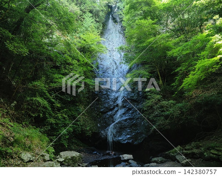 Kototaki Waterfall in the Forest of Kyoto Kototaki Waterfall in the Forest of Kyoto 142380757