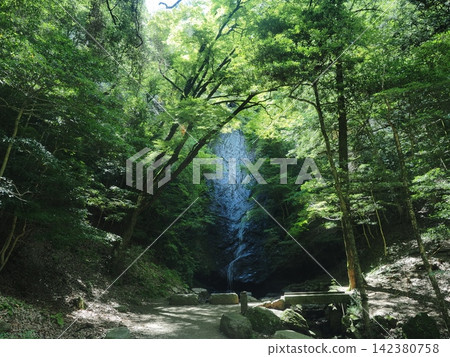 Kototaki Waterfall in the Forest of Kyoto Kototaki Waterfall in the Forest of Kyoto 142380758