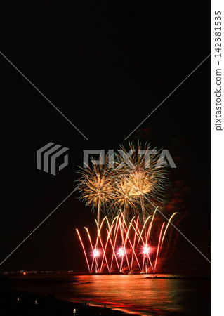 Large fireworks blooming in the summer night sky Large fireworks blooming in the summer night sky 142381535