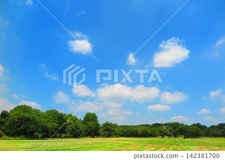 Blue sky, open space, forest, landscape 3 Blue sky, open space, forest, landscape 3 142381700