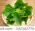 木耳菜 木耳菜 142382770