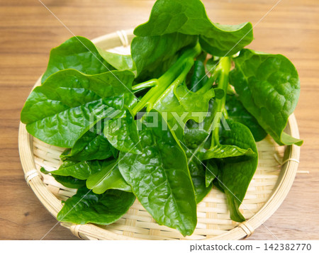 木耳菜 木耳菜 142382770
