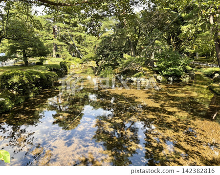 一個花園 一個花園 142382816