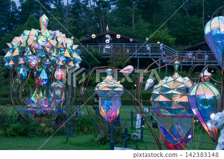 Acorn illuminations Acorn illuminations 142383148