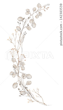 Hand painted watercolor dried flower bouquet with translucent lunaria honesty pods, dark seed buds, tan umbel florets and slender dried grasses in soft neutral beige isolated on white background Hand painted watercolor dried flower bouquet with translucent lunaria honesty pods, dark seed buds, tan umbel florets and slender dried grasses in soft neutral beige isolated on white background 142383539