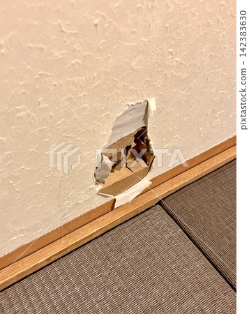 A sliding door with a hole in it A sliding door with a hole in it 142383630