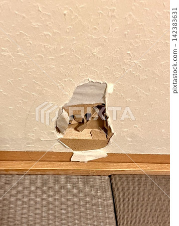 A sliding door with a hole in it A sliding door with a hole in it 142383631