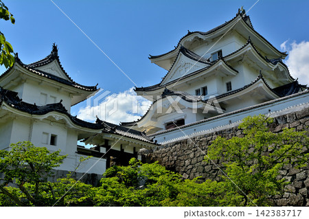 Japan's Top 100 Castles, Iga Ueno Castle Japan's Top 100 Castles, Iga Ueno Castle 142383717
