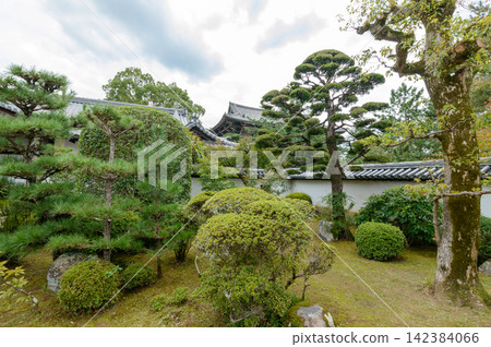A serene traditional Japanese garden with an intricate bonsai tree in the center A serene traditional Japanese garden with an intricate bonsai tree in the center 142384066