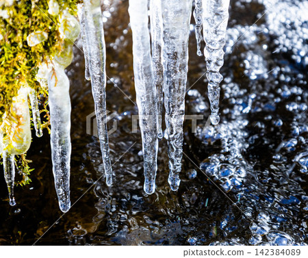 A winter scene of icicles hanging from the source of the Daisetsuzan Asahidake spring in Higashikawa Town, Hokkaido. 142384089