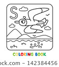 Funny seagull. Animals coloring book Alphabet S 142384456