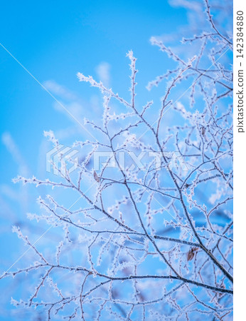 山麓(猿飛日斬高原)上覆著一層晶瑩剔透的霜花。 山麓(猿飛日斬高原)上覆著一層晶瑩剔透的霜花。 142384880