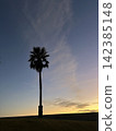 Palm trees and sunsets 142385148