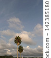 Palm tree and blue sky 142385180