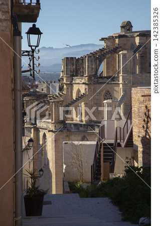 Tortosa cathedral gothic flying buttresses in historic city setting Tortosa cathedral gothic flying buttresses in historic city setting 142385326