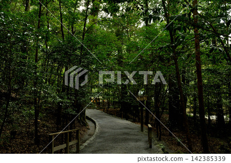 伊勢神社 伊勢神社 142385339
