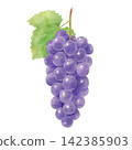 Watercolor-style illustration of grapes with leaves 142385903