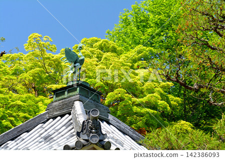 二尊院,嵯峨野,京都 二尊院,嵯峨野,京都 142386093