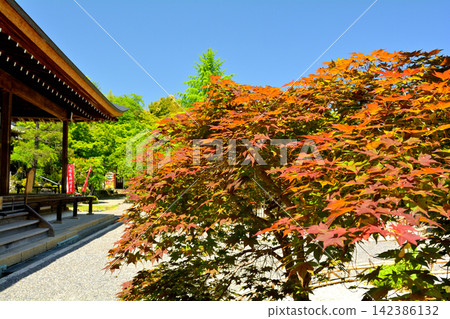 二尊院，嵯峨野，京都 142386132